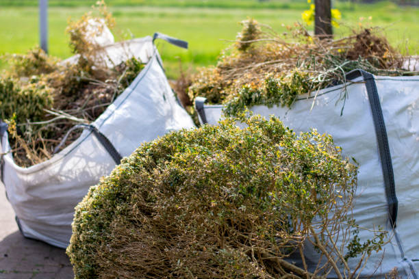 Recycling Services for Junk in Eddystone, PA